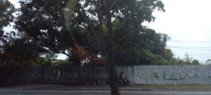 Bernilai Triliunan, Ini Rekam Jejak Tanah Negara di Helvetia Yang Diduga Dikuasai Pihak Swasta