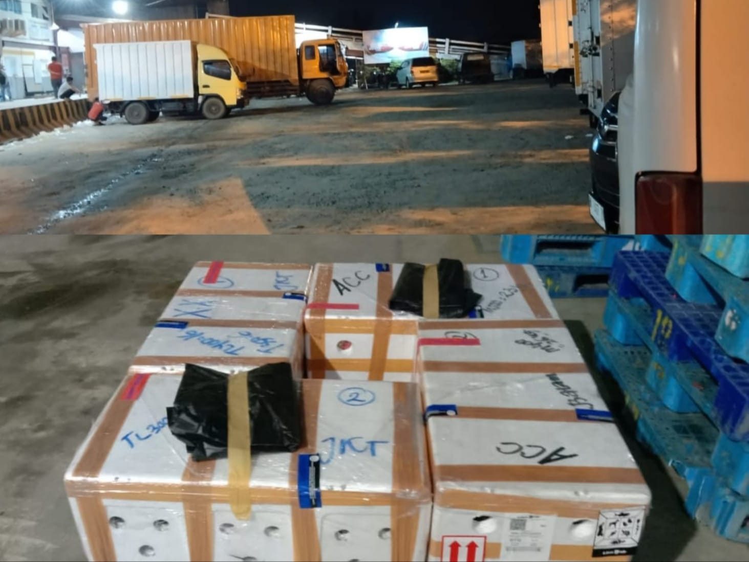 Perdagangan Kepiting Under Size, LP3 Nilai PSDKP Belawan Tak Bernyali, HNSI Akan Surati Menteri KKP RI
