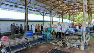 Camat, Satpol PP dan Dinas Terkait Tinjau Peternakan Ayam di Desa Sikalondang