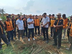 Pembersihan Areal HGU No.94 PTPN 2 Kebun Limau Mungkur Berlangsung Kondusif