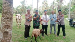 Momen Hari Raya Idul Adha, Polres Pesisir Barat Pupuk Sinergitas Dengan TNI