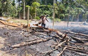 Polsek Bengkunat Polres Pesisir Barat Respon Cepat Memadamkan Api di Titik Hotspot Karhutla