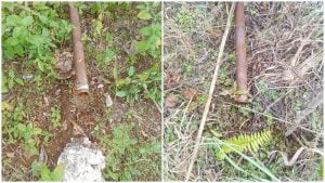 Puluhan Pipa Air Minum Ohoi Lairngangas Hilang. Warga Sepakat Buat Sumpah Adat