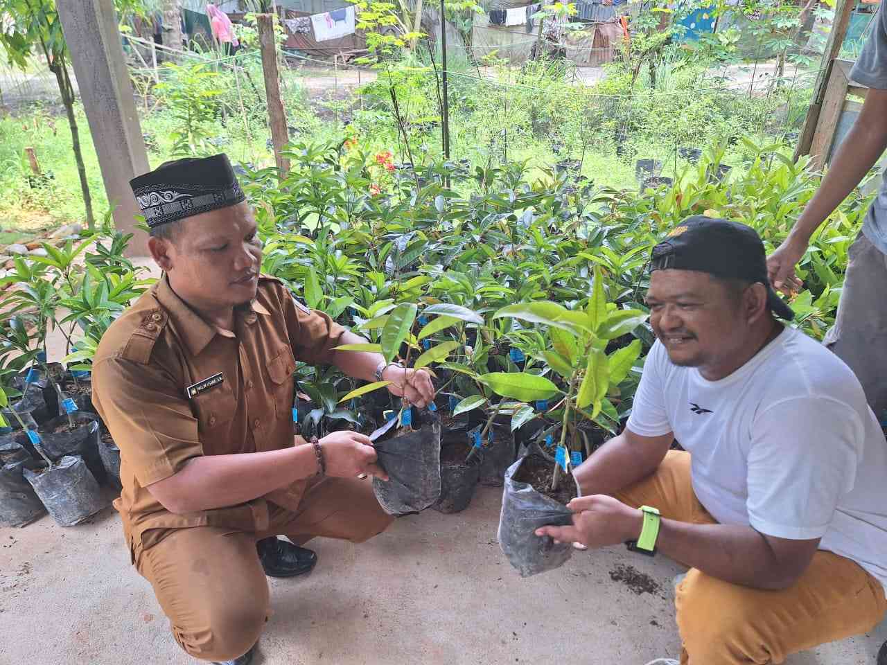 Kades Gunung Lagan Dukung Program PJ Bupati Aceh Singkil Ikuti Intruksi Kemendes Program Ketahanan Pangan