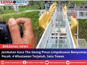 Jembatan Kaca The Geong Pinus Limpakuwus Banyumas Pecah, 4 Wisatawan Terjatuh, Satu Tewas