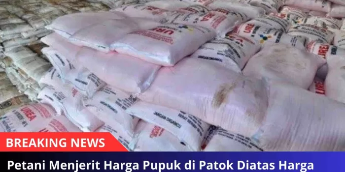 Petani Menjerit Harga Pupuk di Patok Diatas Harga Rata-Rata
