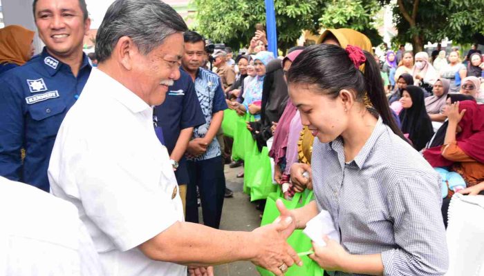 Plt Bupati Deli Serdang Serahkan Bantuan Cadangan Pangan Pemerintah