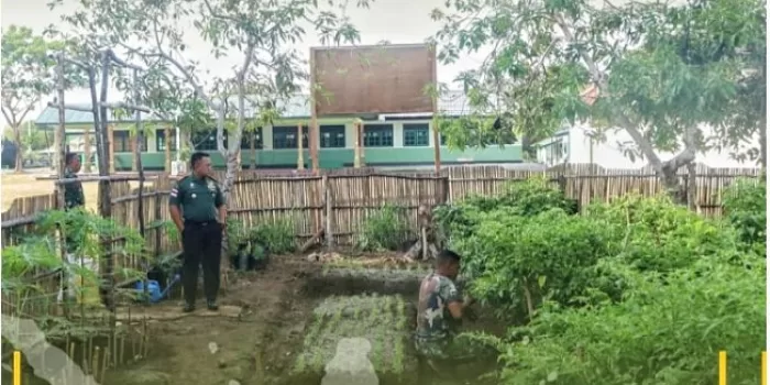Dandim 1503 Tual Tinjau dan Panen Hasil Kebun