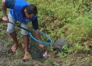 Warga Polaman Mijen di Gemparkan Penemuan Bayi Hanyut di Sungai