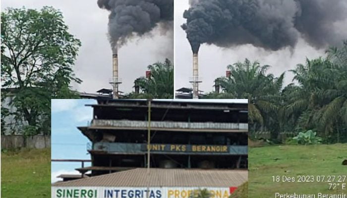 Dukung Polda Sumut, Kadis LHK Sumut akan Periksa Asap Hitam dan Limbah di PKS Berangir Labura