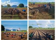 Lanud Dominicus Dumatubun Sulap Lahan Kosong Menjadi Lahan Produktif
