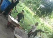 Tak Dilengkapi Plank, Proyek Jalan Cor Beton Menggunakan Air Sungai