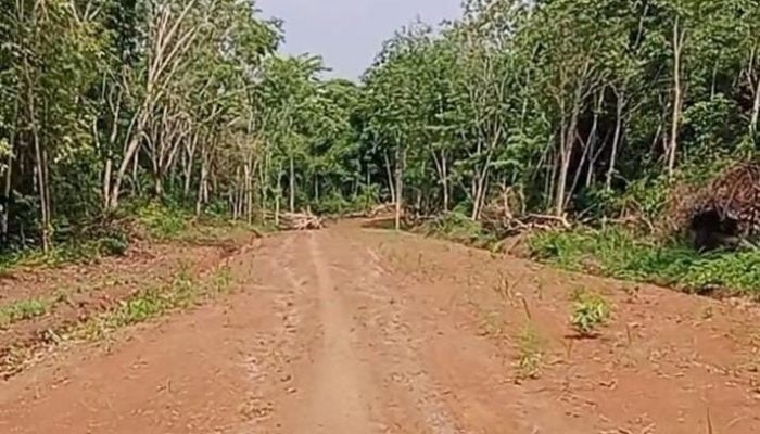 Anggota DPRD OKU Tidak Mau Menemui Media Untuk Klarifikasi Terkait Proyek Pembukaan Jalan