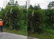 ULP PLN Kota Tanjungbalai Melakukan Pengamanan Listrik Selama Nataru