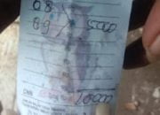 Warga Resah, Masih Saja di Temukan Praktik Perjudian Togel di Wilayah Patean Kabupaten Kendal, Polda Jateng Segera Bertindak Tegas