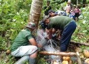 Koramil 1503-02/Elat Kodim 1503/Tual Bantu Warga Bersihkan Saluran Pipa Air yang Tersumbat