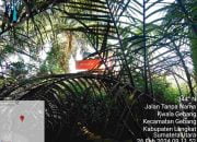 Lahan Mangrove di Kwala Gebang Langkat Dirusak, Polres Langkat Cek Lokasi