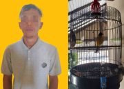 Pelaku Pencurian Burung dan Uang Berhasil Dibekuk Unit Reskrim Polsek Pesisir Tengah