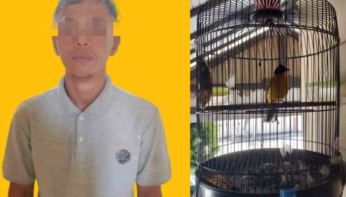 Pelaku Pencurian Burung dan Uang Berhasil Dibekuk Unit Reskrim Polsek Pesisir Tengah