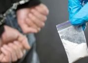 Dua pelaku Penyalahgunaan narkoba Digelandang Sat Res Narkoba Polres Pesisir Barat