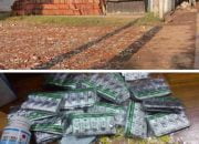 Jalur Pantura Kabupaten Pekalongan Jadi Sarang Peredaran Obat-obatan Terlarang Golongan 3 Berkedok Warung ‘Aceh’, Penegak Hukum Terkesan Tutup Mata