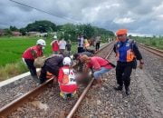 Seorang Lansia Tewas Tertabrak KA Joglosemarkerto di Kaliwungu