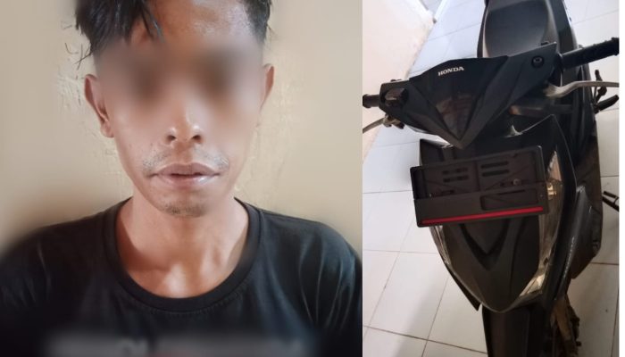 Unit Reskrim Polsek Bengkunat  Amankan  Seorang Pemuda Tersangka Pencurian Ranmor