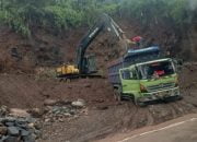 Lahan Perkebunan Yang Berada di Desa Kertosari-Kec. Singorojo Ternyata Merupakan Lahan Wisata Agro