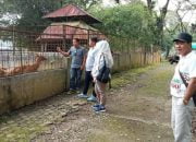 Habis Lebaran Medan Zoo  Tutup