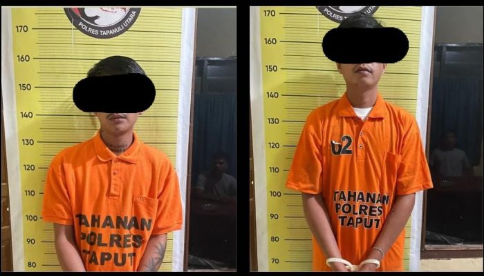 Dua Pengguna Ganja Ditangkap Sat Narkoba Polres Taput