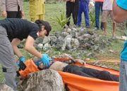 Warga Pesisir Barat Digegerkan Penemuan Sosok Mayat di Pelabuhan Jaoh Pekon Way Batang