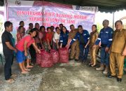 SOL bersama Petani Kembangkan Tanaman Bawang di Tanah Pahae