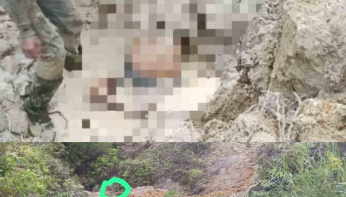 Pekerja Harian Tewas Tertimpa Longsor di Sawah