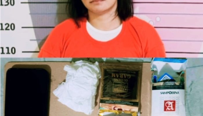 Kasat Narkoba Polres Nias Selatan : Kami Tidak akan Mentoleransi Peredaran Narkoba