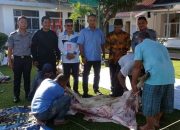 Sembelih 3 Ekor Sapi, Lapas Kelas IIB TBA Kobarkan Semangat Ber Qurban
