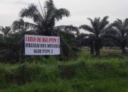 Soal Tanah di Atas Areal HGU No. 62 Kebun Penara PTPN I, Para Penggugat Akui KTP & KK Mereka Dipalsukan