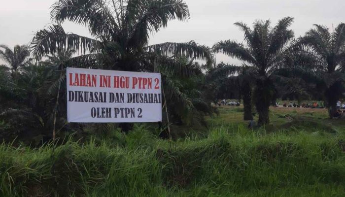Soal Tanah di Atas Areal HGU No. 62 Kebun Penara PTPN I, Para Penggugat Akui KTP & KK Mereka Dipalsukan