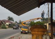 Kabid Dinas Perkim : Proses Kegiatan Hari Libur Perbaikin Lampu Jalan di Dusun Kebun Tidak Adanya Kendala
