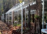 Warga Mijen-Kota Semarang Desak Pembongkaran Lapak Tak Berizin di Kawasan Hutan Jati Perhutani