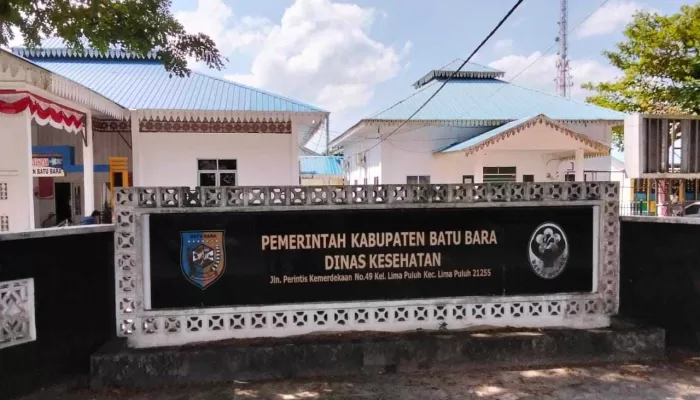 Tokoh Pemuda & Aktivis Desak Pj Heri Wahyudi Marpaung Menonaktifkan Kadinkes Batubara