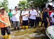 Pj Bupati DS Tinjau Banjir di Hamparan Perak