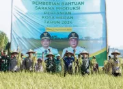 Panen Raya di Persawahan Mabar Hilir, Walikota Bobby Ingin Sektor Pertanian Berkembang