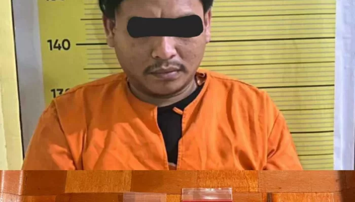 Residivis Narkoba Diringkus Sat Narkoba Polres Taput