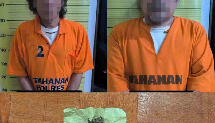 Satu Pengedar dan Dua Pengguna Narkoba Diringkus Polres Taput