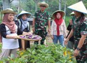 Lanud Husein Sastranegara Panen Sayuran Bersama Warga Bojong Koneng Untuk Dukung Ketahanan Pangan