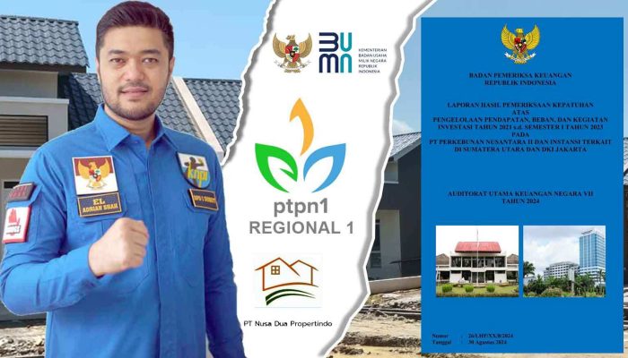 Usut Tuntas LHP BPK RI 2023 PTPN II, El Adriah Shah : Auditor Negara Temukan 15 Masalah