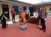 Polres Taput Musnahkan 2 Kg Ganja 