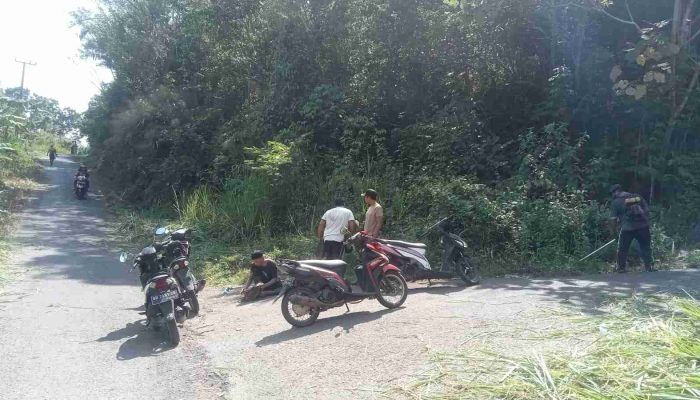 Pemdes Cinta Mandi Baru Bersama Warga Gotong Royong Bersihkan Rumput Yang Menutupi Jalan