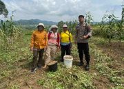Dukung Program Ketahanan Pangan Kolaborasi Dengan PPL Personil Polres Pakpak Bharat Sambangi Warga Binaan di Desa