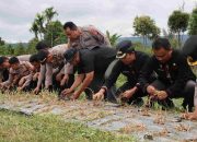 Dukung Ketahanan Pangan, Polres Pakpak Bharat, Pemkab Pakpak Bharat dan Kelompok Tani Panen Bawang